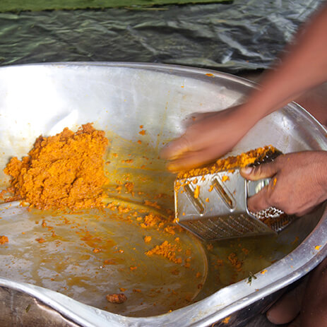CURCUMA 4_mosaico galeria.jpg